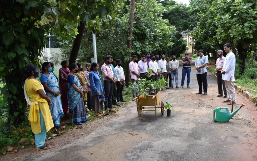 Adopt a tree: Plantation drive at AIMIT